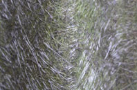 Dunure fibreglass roof work